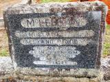 image of grave number 596386